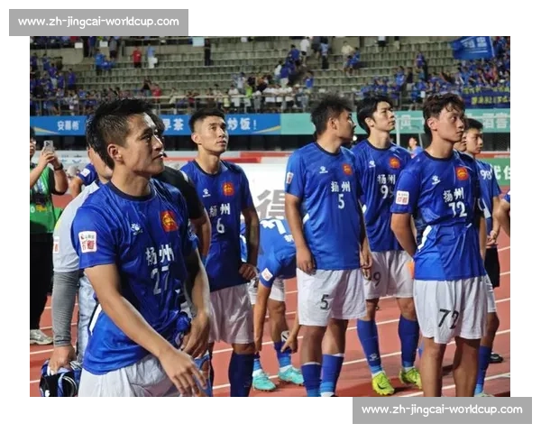 扬州企业家驾机飞越苏超赛场 5 架国产飞机编队空中助威